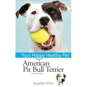 American Pit Bull Terrier Healthy