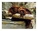 Just Relax... Emerging Artists Photographic Poster Print by Steven N. Meyers, 20x16