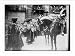 Newswire Photo (L): Aldermen Challenge King's Pursuivant at Temple Bar, London