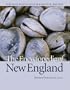 The Encyclopedia of New England