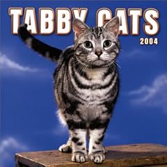 Tabby Cats Wall Calendar: 2004