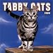 Tabby Cats 2004 Calendar