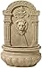 Bronze Finish Lion Face Wall Fountain
