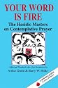 Your Word Is Fire: The Hasidic Masters on Contemplative Prayer (A Jewish Lights Classic Reprint)