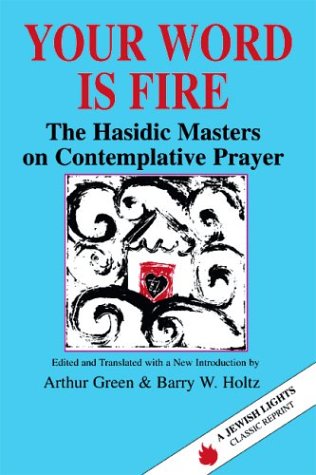 Your Word Is Fire: The Hasidic Masters on Contemplative Prayer (A Jewish Lights Classic Reprint)