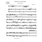 Buy Bach C.P.E. Sonata in B flat Major: Instantly download and print sheet music by  C.P.E. Bach