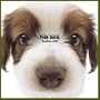 Artlist Collection the Dog 2005 Calendar Papillon (Multilingual Edition)