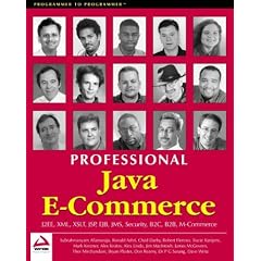 Professional Java E-commerce (Programmer to Programmer)