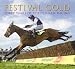 Festival Gold Festival Gold