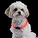 Nite Ize Howl LED Safety Necklace, Red