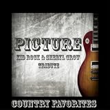 Picture - Kid Rock & Sheryl Crow Tribute
