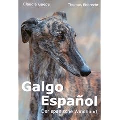 Galgo Espa�ol: Der spanische Windhund