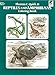 Reptiles and Amphibians Coloring Book