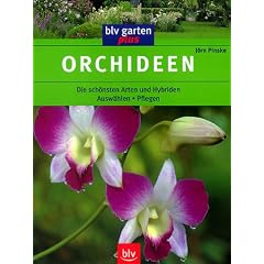 Orchideen