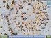 Harvest: Massive Encounter [Download] image 2