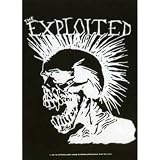 Review Old Glory  / Exploited - Punk Skull Tapestry