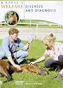 Horse's Welfare - Diseases And Diagnosis [DVD]