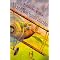Newbery Medal and Honor Books: 1998 - 2003