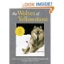 The Wolves of Yellowstone