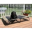 CAMA TIPO CATRE para MASCOTAS DESIGNER COT de PET GEAR (Varios Colores y Capacidades)