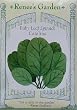 Spinach Baby Leaf Catalina Seeds 300 Seeds