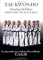 Taekwon-do: Grading Syllabus White Belt to Black Belt