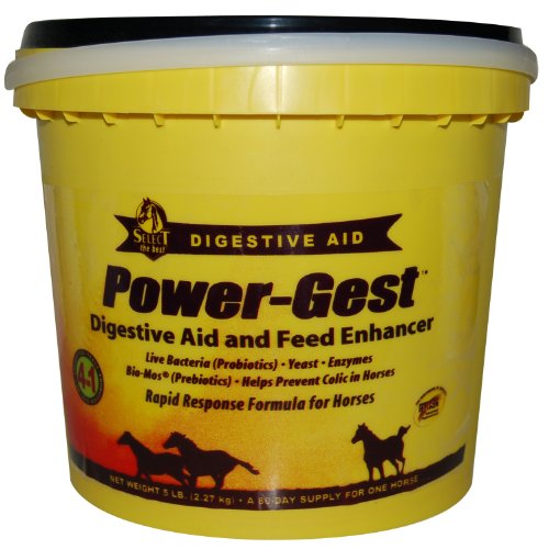 Powergest, 5 LB