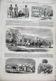 Pig Sticking Santhal India Antique Print 1856
