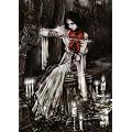 Heye Puzzle - Victoria Frances: Violin - 1000 Piece Puzzle
