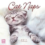 Cover for 'Cat Naps 2011 Wall Calendar (Calendar)'