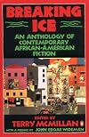 Breaking Ice : An Anthology of Contemporary African-American Fiction
