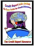 Credit Report Life Jacket an Easy Guide for Credit Dilemmas