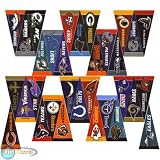 NFL Football Mini Pennants Collector Set (32)