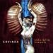 Erotic Rhythms From Earth