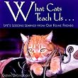 What Cats Teach Us: Life's Lessons Learned from Our Feline Friends