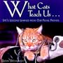 What Cats Teach Us: Life's Lessons Learned from Our Feline Friends