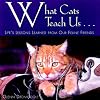 What Cats Teach Us: Life's Lessons Learned from Our Feline Friends