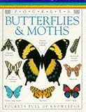 Butterflies & moths