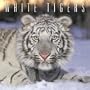 White Tigers 2006 Calendar