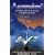 Ascension: Analysis of the Art of Ascension as Taught by the Ishayas