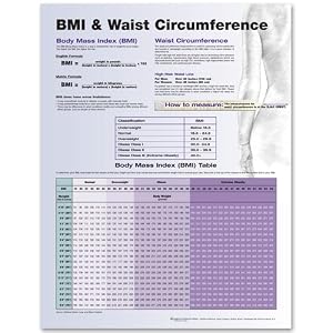 Chart Providing Accurate BMI & Waist Circumference Obesity