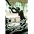 Camille Claudel: A Novel