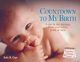 Countdown to My Birth: A day by day account from your baby's point of view