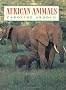 African Animals