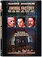 Animal Factory