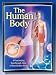 Book Human Body: A Fascinating See-Through  View Of How Bodies Work