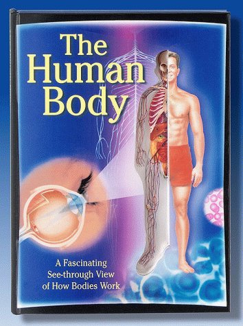 The Human Body: a Fascinating See-through View of How Bodies Work