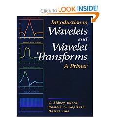 Wavelets: A Primer