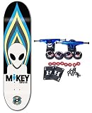 ALIEN WORKSHOP Complete Skateboard MIKEY TORCH 8.125