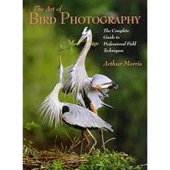 The At of Bird Photography: The Complete Guide to Professional Field Techniques (Practical Photography Books)